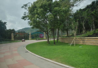 星荷乐园,梦幻仙境，欢乐无限之旅